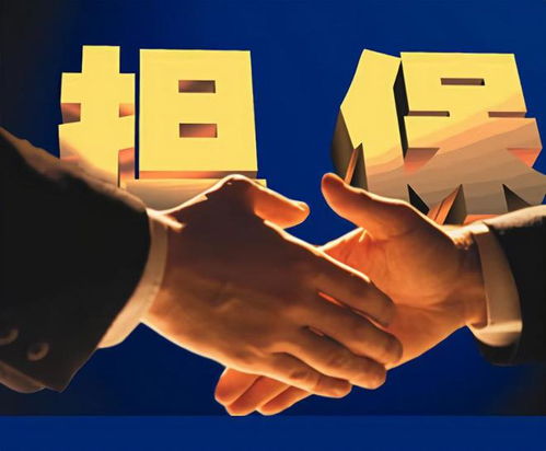 泰安弘澤擔保 勇做服務實體經濟主力軍，破解小微三農融資難題