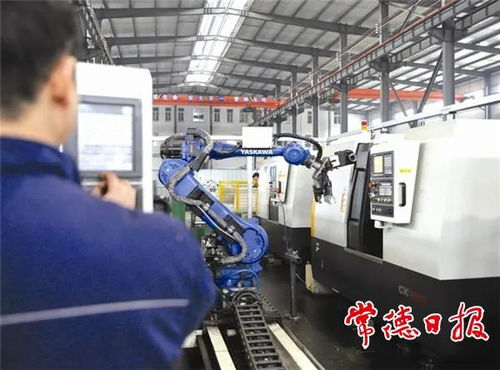 引金融活水，潤產業之花——常德財政推動非融資性擔保服務高質量發展